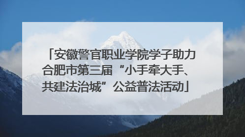 安徽警官职业学院学子助力合肥市第三届“小手牵大手、共建法治城”公益普法活动