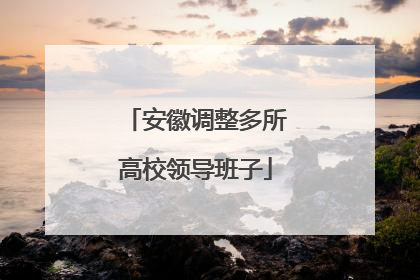 安徽调整多所高校领导班子