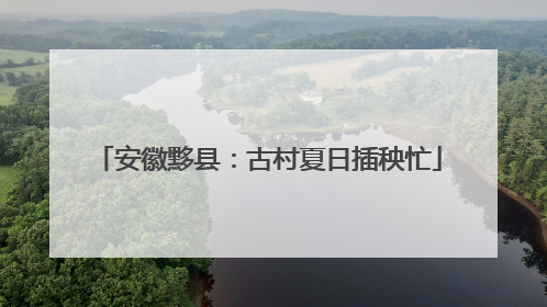 安徽黟县：古村夏日插秧忙