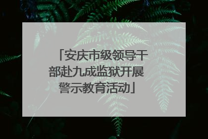 安庆市级领导干部赴九成监狱开展警示教育活动