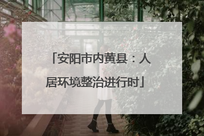 安阳市内黄县：人居环境整治进行时