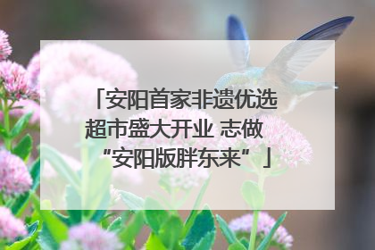 安阳首家非遗优选超市盛大开业 志做“安阳版胖东来”