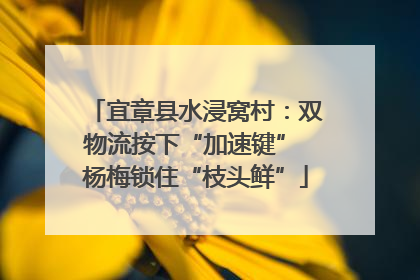 宜章县水浸窝村：双物流按下“加速键” 杨梅锁住“枝头鲜”