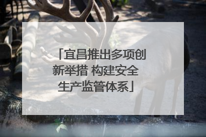宜昌推出多项创新举措 构建安全生产监管体系