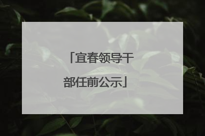 宜春领导干部任前公示