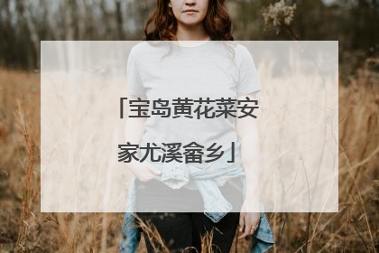 宝岛黄花菜安家尤溪畲乡