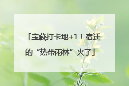 宝藏打卡地+1！宿迁的“热带雨林”火了