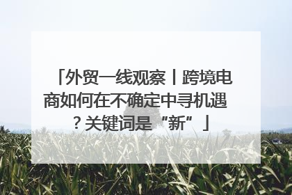 外贸一线观察丨跨境电商如何在不确定中寻机遇？关键词是“新”