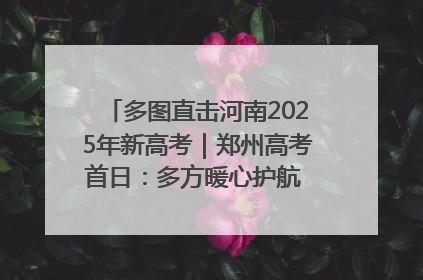 多图直击河南2025年新高考｜郑州高考首日：多方暖心护航 助力学子逐梦