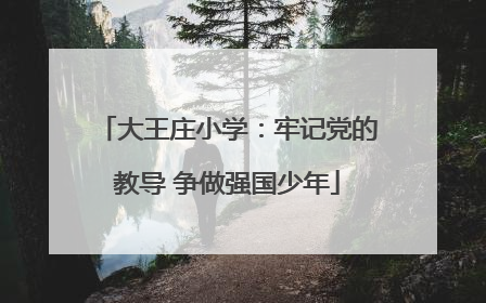 大王庄小学：牢记党的教导 争做强国少年