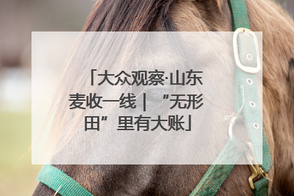 大众观察·山东麦收一线｜“无形田”里有大账