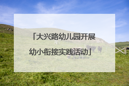 大兴路幼儿园开展幼小衔接实践活动
