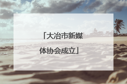 大冶市新媒体协会成立