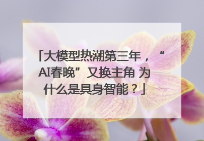 大模型热潮第三年，“AI春晚”又换主角 为什么是具身智能？