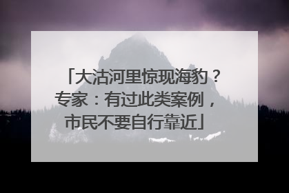 大沽河里惊现海豹？专家：有过此类案例，市民不要自行靠近