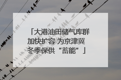 大港油田储气库群加快扩容 为京津冀冬季保供“蓄能”