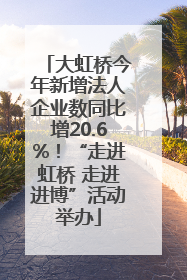 大虹桥今年新增法人企业数同比增20.6%！“走进虹桥 走进进博”活动举办