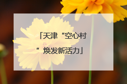 天津“空心村”焕发新活力
