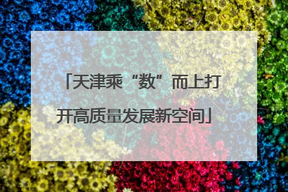 天津乘“数”而上打开高质量发展新空间