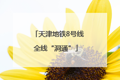 天津地铁8号线全线“洞通”