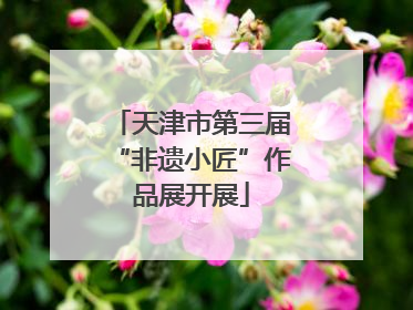 天津市第三届“非遗小匠”作品展开展