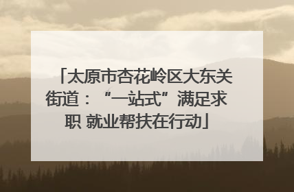 太原市杏花岭区大东关街道：“一站式”满足求职 就业帮扶在行动