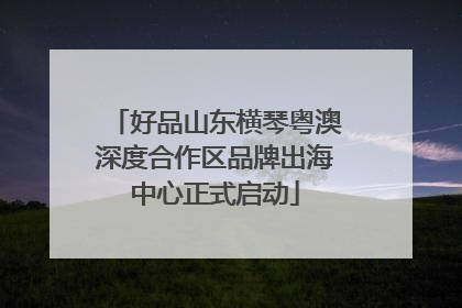 好品山东横琴粤澳深度合作区品牌出海中心正式启动