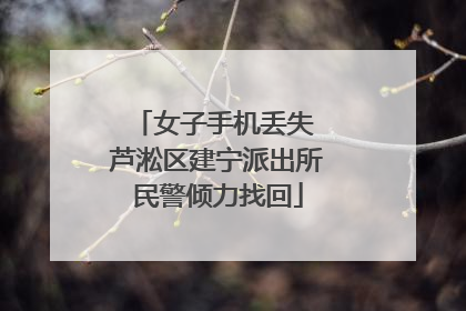 女子手机丢失 芦淞区建宁派出所民警倾力找回