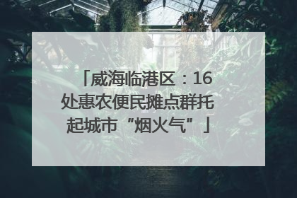 威海临港区：16处惠农便民摊点群托起城市“烟火气”