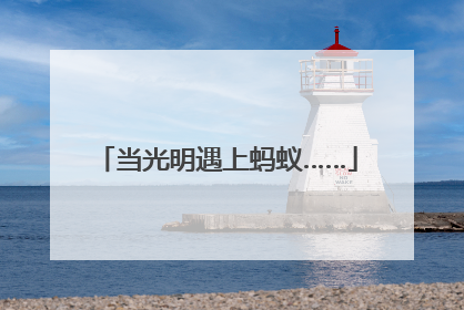 当光明遇上蚂蚁……
