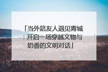 当外籍友人遇见青城：开启一场穿越文物与奶香的文明对话