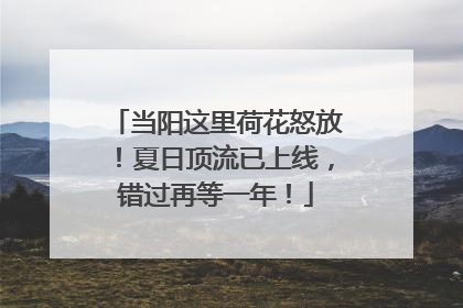 当阳这里荷花怒放！夏日顶流已上线，错过再等一年！
