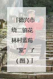 德兴市绕二镇花林村蓝莓“紫”了（图）