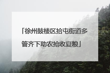 徐州鼓楼区拾屯街道多管齐下助农抢收夏粮