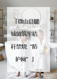 微山县驩城镇筑牢秸秆禁烧“防护网”