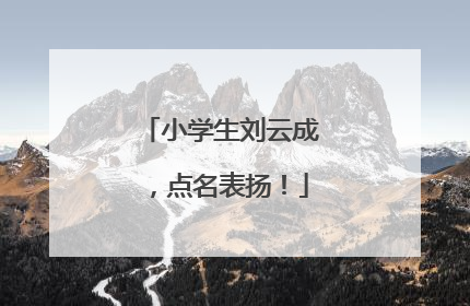 小学生刘云成，点名表扬！