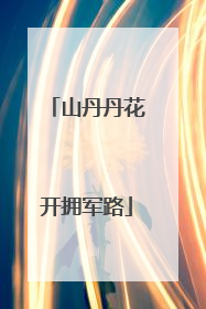 山丹丹花开拥军路