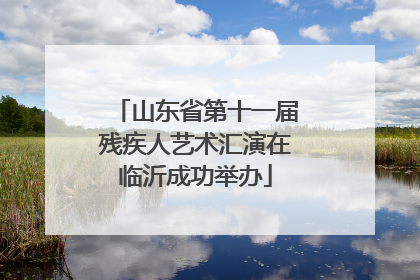 山东省第十一届残疾人艺术汇演在临沂成功举办