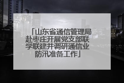 山东省通信管理局赴枣庄开展党支部联学联建并调研通信业防汛准备工作