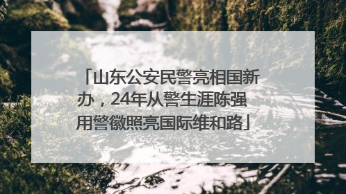 山东公安民警亮相国新办，24年从警生涯陈强用警徽照亮国际维和路