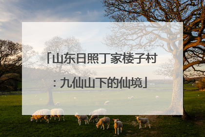 山东日照丁家楼子村：九仙山下的仙境