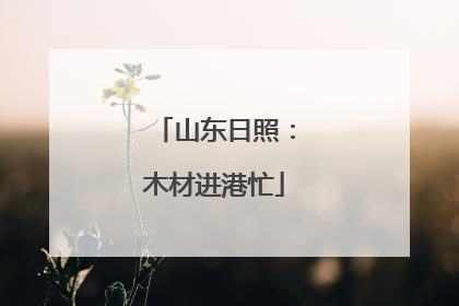 山东日照：木材进港忙