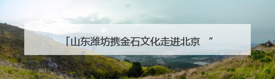 山东潍坊携金石文化走进北京 “金石宗师”陈介祺罕见珍品亮相