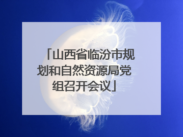山西省临汾市规划和自然资源局党组召开会议