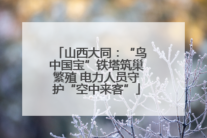 山西大同：“鸟中国宝”铁塔筑巢繁殖 电力人员守护“空中来客”