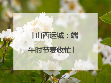 山西运城：端午时节麦收忙