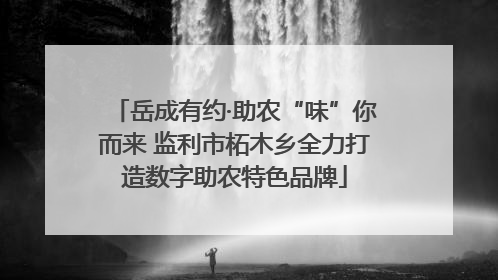 岳成有约·助农“味”你而来 监利市柘木乡全力打造数字助农特色品牌