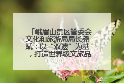 峨眉山景区管委会文化和旅游局局长尧斌：以“双遗”为基，打造世界级文旅品牌与国际典范
