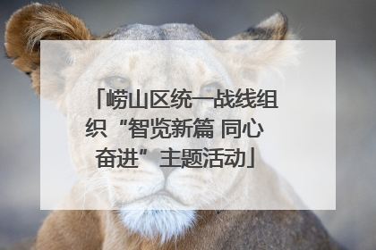 崂山区统一战线组织“智览新篇 同心奋进”主题活动