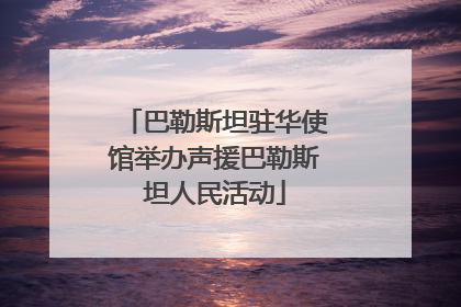 巴勒斯坦驻华使馆举办声援巴勒斯坦人民活动